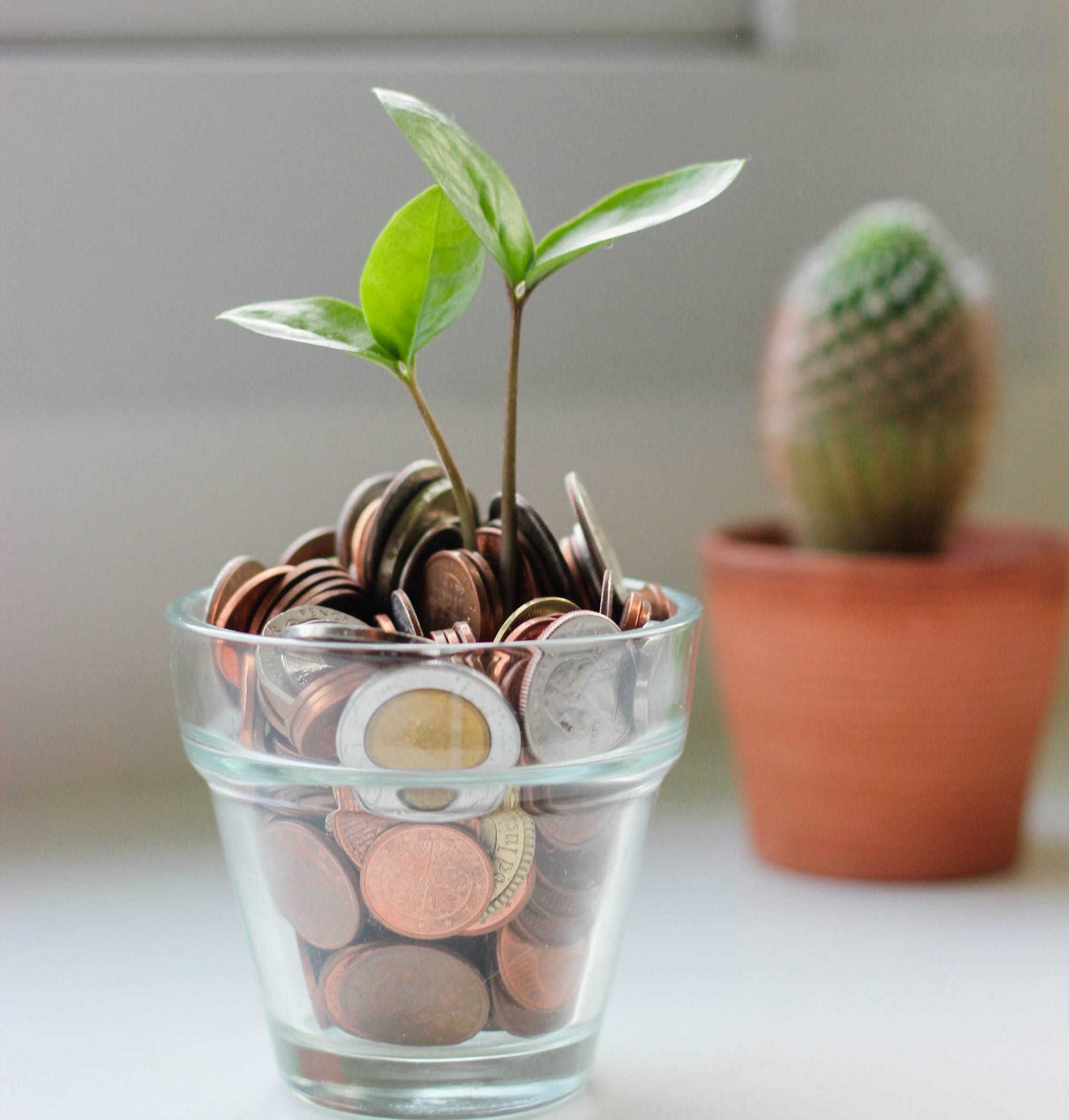 Kostnader: 4 Netter i Barcelona VS 4 Netter cruise